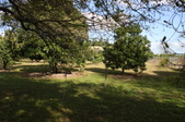 Enlarge photo 51