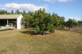 Enlarge photo 54