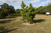 Enlarge photo 57