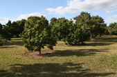 Enlarge photo 58