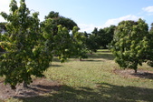 Enlarge photo 59
