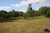 Enlarge photo 64