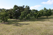 Enlarge photo 65