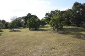 Enlarge photo 66