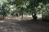Enlarge photo 67