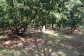 Enlarge photo 68