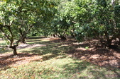 Enlarge photo 70