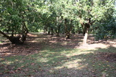 Enlarge photo 69