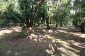 Enlarge photo 72