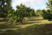 Enlarge photo 71