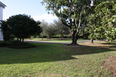 Enlarge photo 73