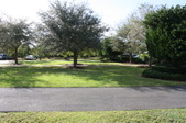 Enlarge photo 77