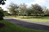 Enlarge photo 85