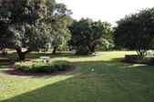 Enlarge photo 88