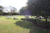Enlarge photo 89