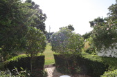 Enlarge photo 91