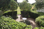 Enlarge photo 96