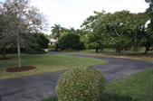 Enlarge photo 107