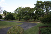 Enlarge photo 108