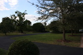 Enlarge photo 109