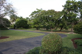 Enlarge photo 111