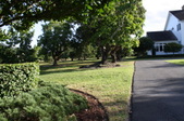 Enlarge photo 118