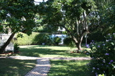 Enlarge photo 51