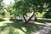Enlarge photo 52