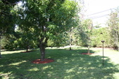 Enlarge photo 54