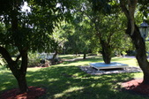 Enlarge photo 56