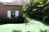 Enlarge photo 112