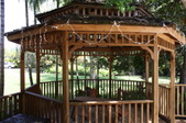 Enlarge photo 127