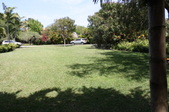 Enlarge photo 132