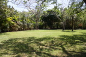 Enlarge photo 137