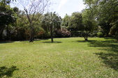 Enlarge photo 136