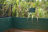 Enlarge photo 102