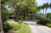 Enlarge photo 111
