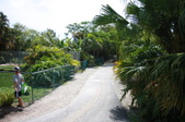 Enlarge photo 110