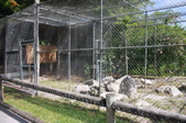 Enlarge photo 112