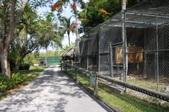 Enlarge photo 113