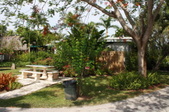 Enlarge photo 115