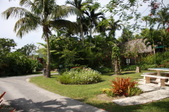 Enlarge photo 114