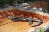 Enlarge photo 117
