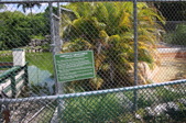 Enlarge photo 128