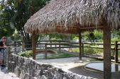 Enlarge photo 126