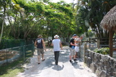 Enlarge photo 130