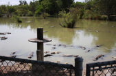 Enlarge photo 131