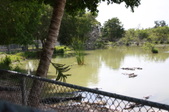 Enlarge photo 132