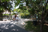 Enlarge photo 135
