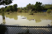Enlarge photo 136